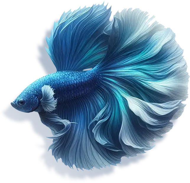 Watercolour Productions